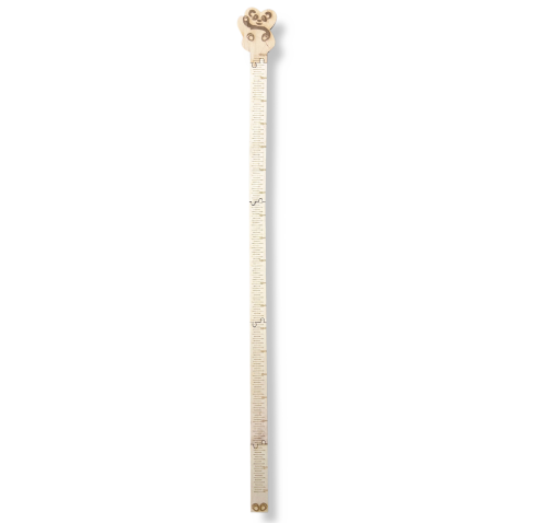 5542.png