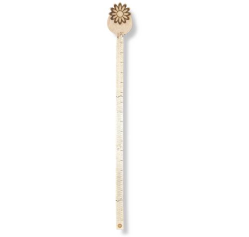 5545.png