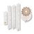 5543.png