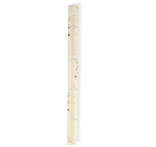 5590.png