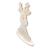 6808.png