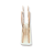 6806.png