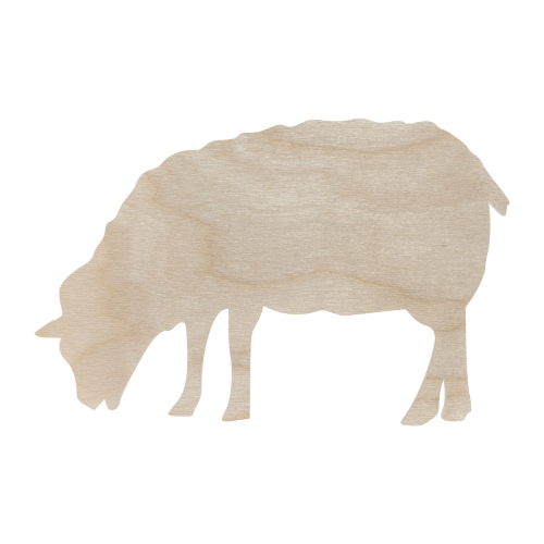9032.png