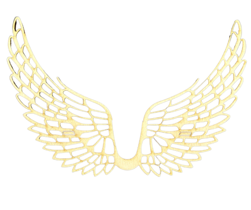50d84a82bc690acf6b98c6dffcd70bfd.png