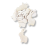 5006.png