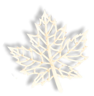 e572facc0d5902fd7c6c18faeff404d0.png