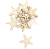4302.png