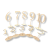 5555.png