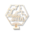 5562.png