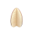 5563.png
