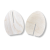 5565.png
