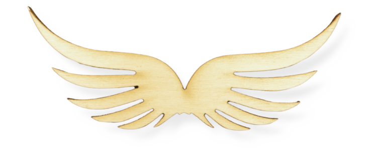 cff971de71ef5db4acdbe2a2575ee858.png