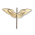 6205.png