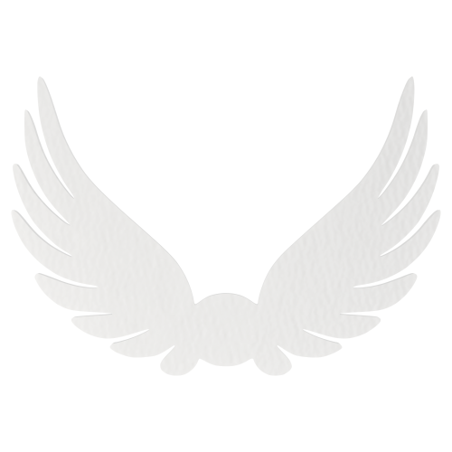0f04045726b545616b02cc5e25e87c7d.png