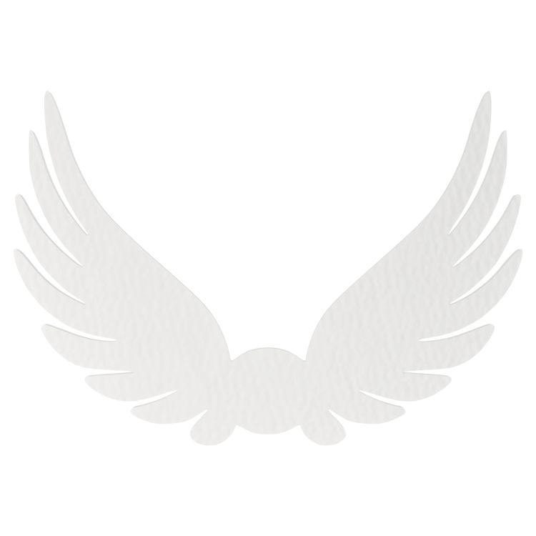 0f04045726b545616b02cc5e25e87c7d.png