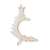 6649.png