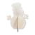 6786.png